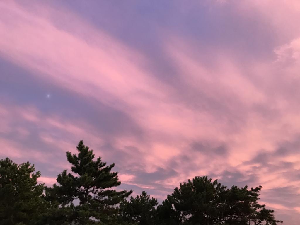 Minshuku Tairyoumaru Amakusa  Exteriér fotografie