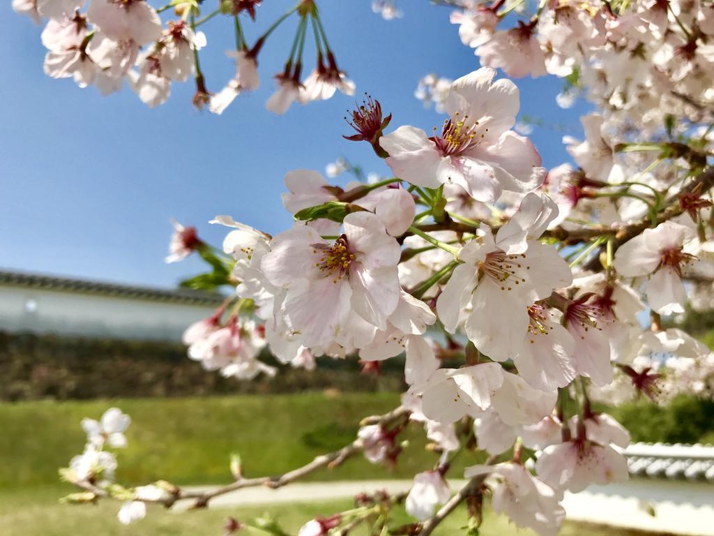 Minshuku Tairyoumaru Amakusa  Exteriér fotografie
